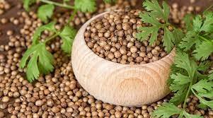 Coriander Seeds