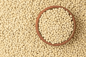 Urad Dal