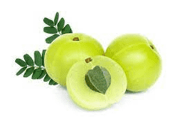 Amla