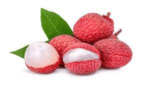 Litchi