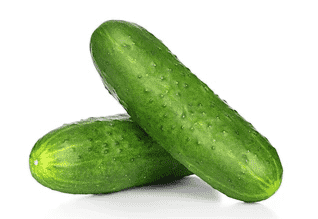 Cucumber